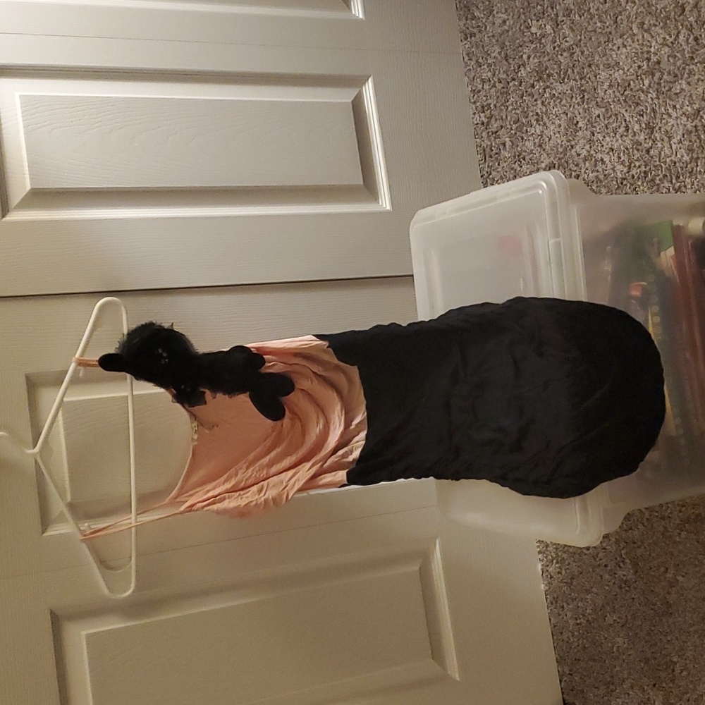 Nwot Pink and black dress